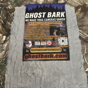 Bigtooth Aspen and Eastern Cottonwood