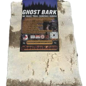 Northern Birch/Trembling Aspen